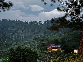 Cup of Excellence Coffee Farm!!!